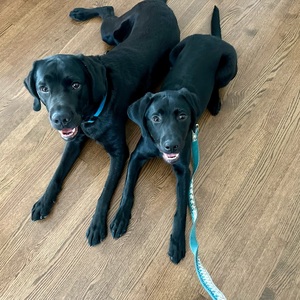 Fundraising Page: PATTI ROEBUCK